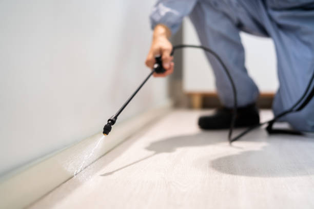 Professional exterminator conducting IPM assessment in Litchfield Park